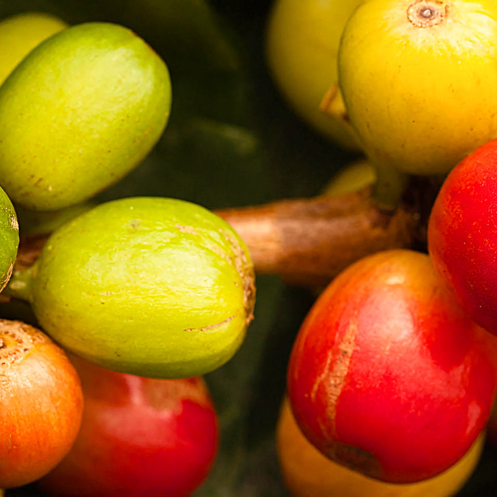 Colour enhancing or colour intensification based on TM30